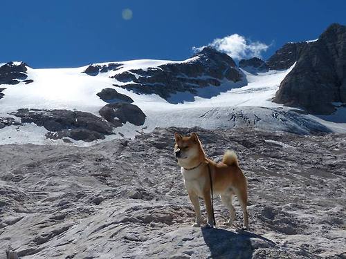 九游体育网站-_热点人物专访：他们的胜利故事与人生哲学_，胜利的故事有什么