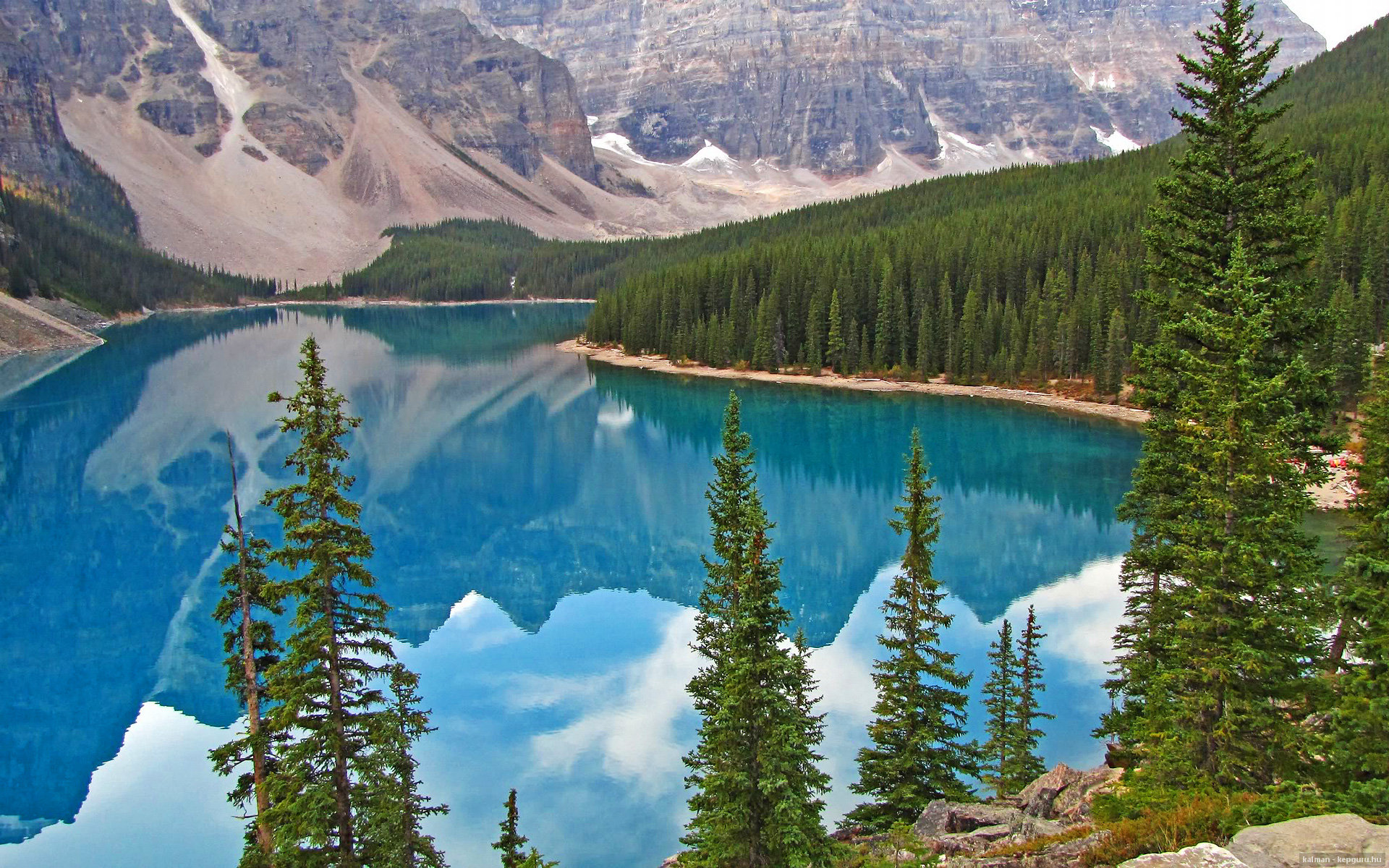 JIUYOU GAMING-_篮网队发挥稳定，持续领跑联盟_，篮网队资讯