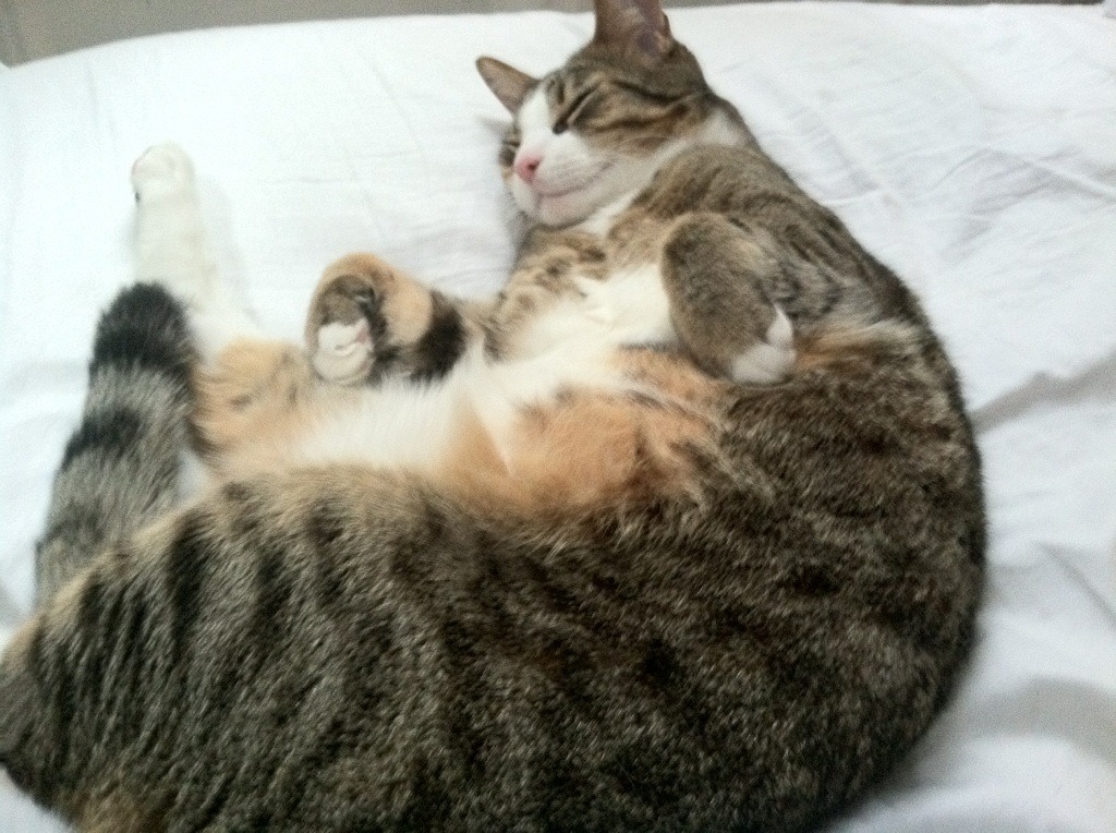 九游下载官网-中国足球“走出去”战略成效逐步显现，合作不断深化，中国足球走出亚洲